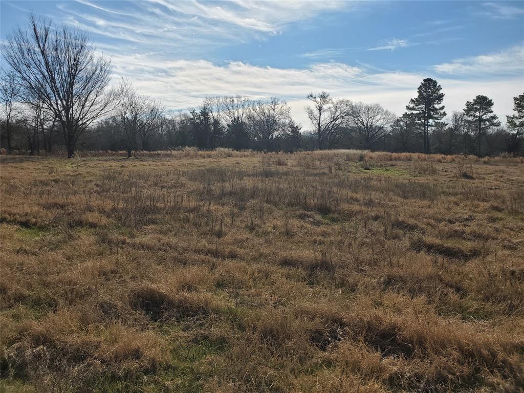 LOT 8 RS County Road 1140 - Photo 5