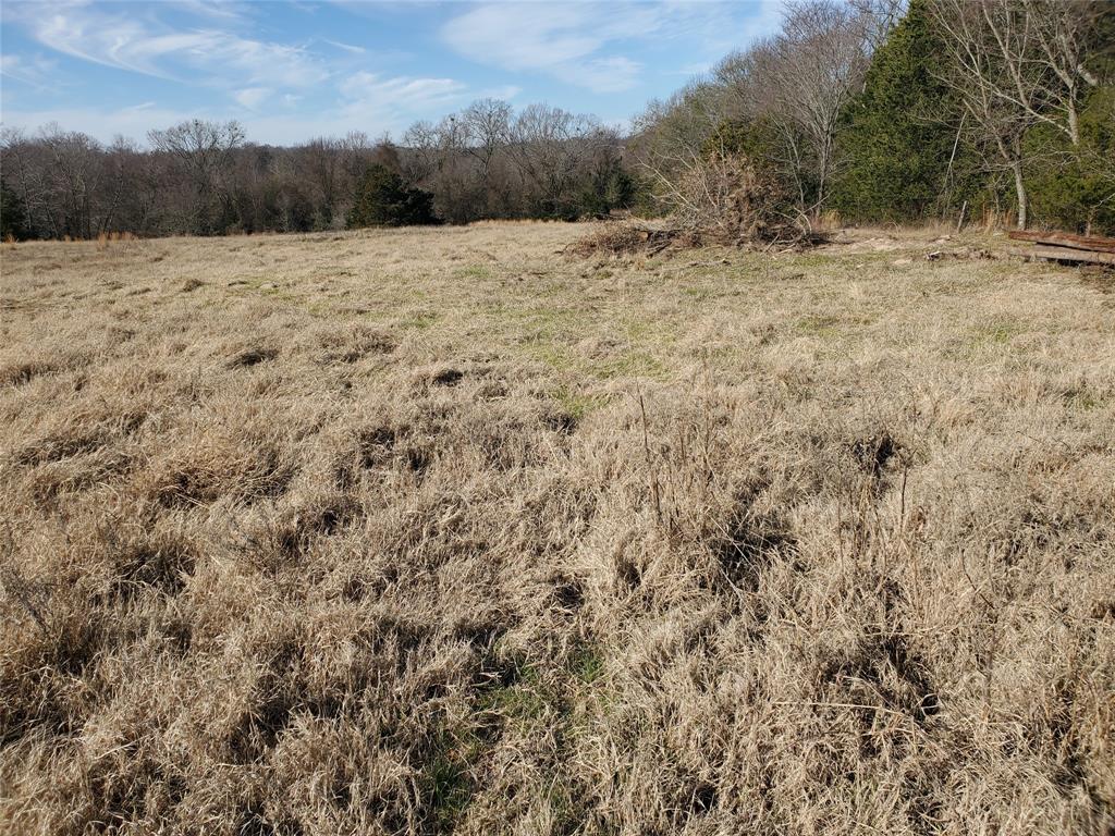 LOT 8 RS County Road 1140 - Photo 6
