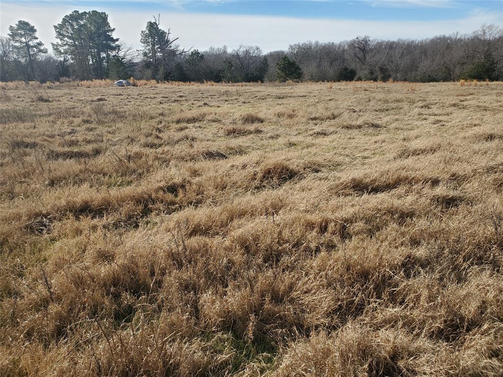 LOT 8 RS County Road 1140 - Photo 7