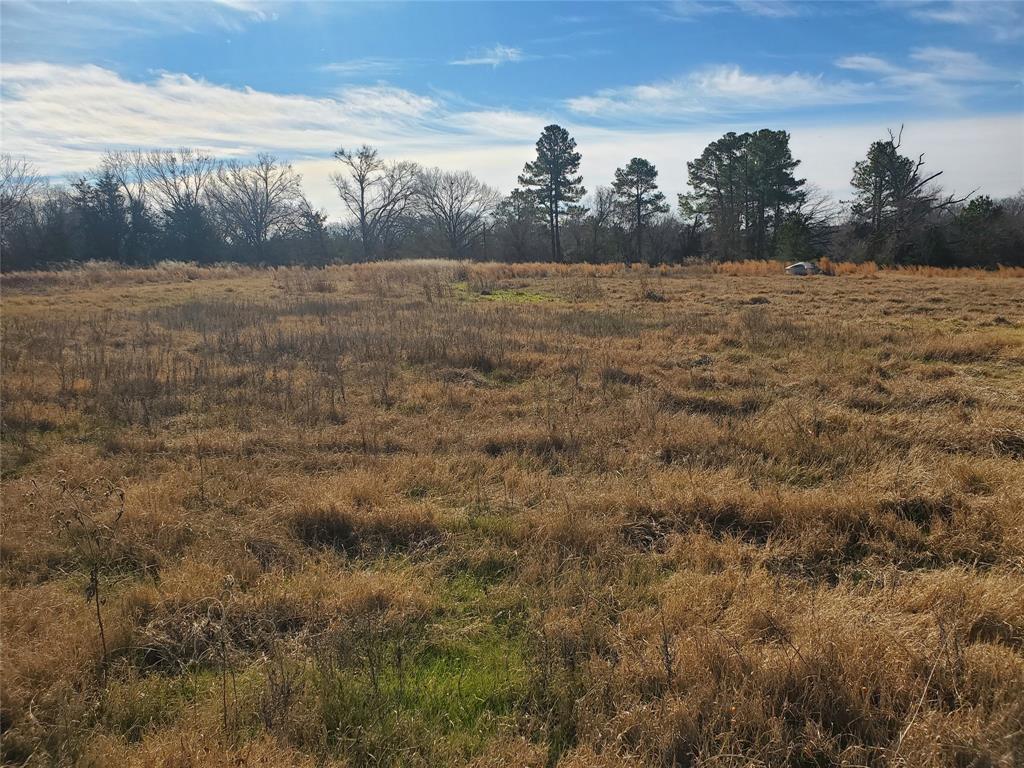 LOT 8 RS County Road 1140 - Photo 8