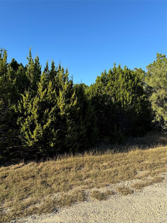 43002 Whisperwood Drive - Photo 12