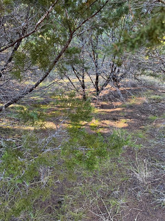 43002 Whisperwood Drive - Photo 13