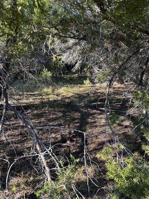 43002 Whisperwood Drive - Photo 8