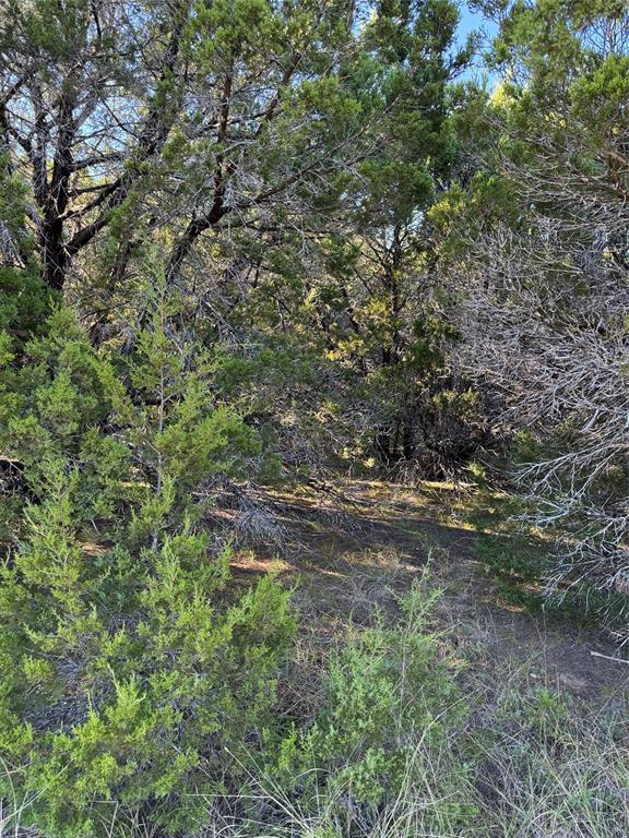 43002 Whisperwood Drive - Photo 9