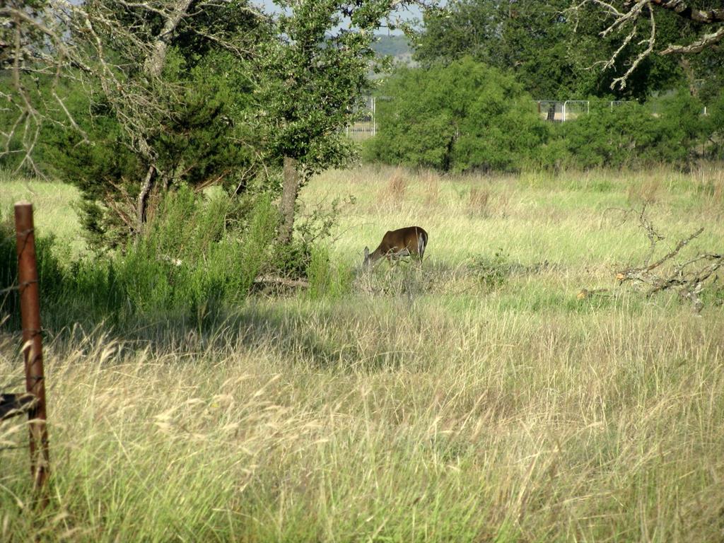 2171 County Road 419 - Photo 24