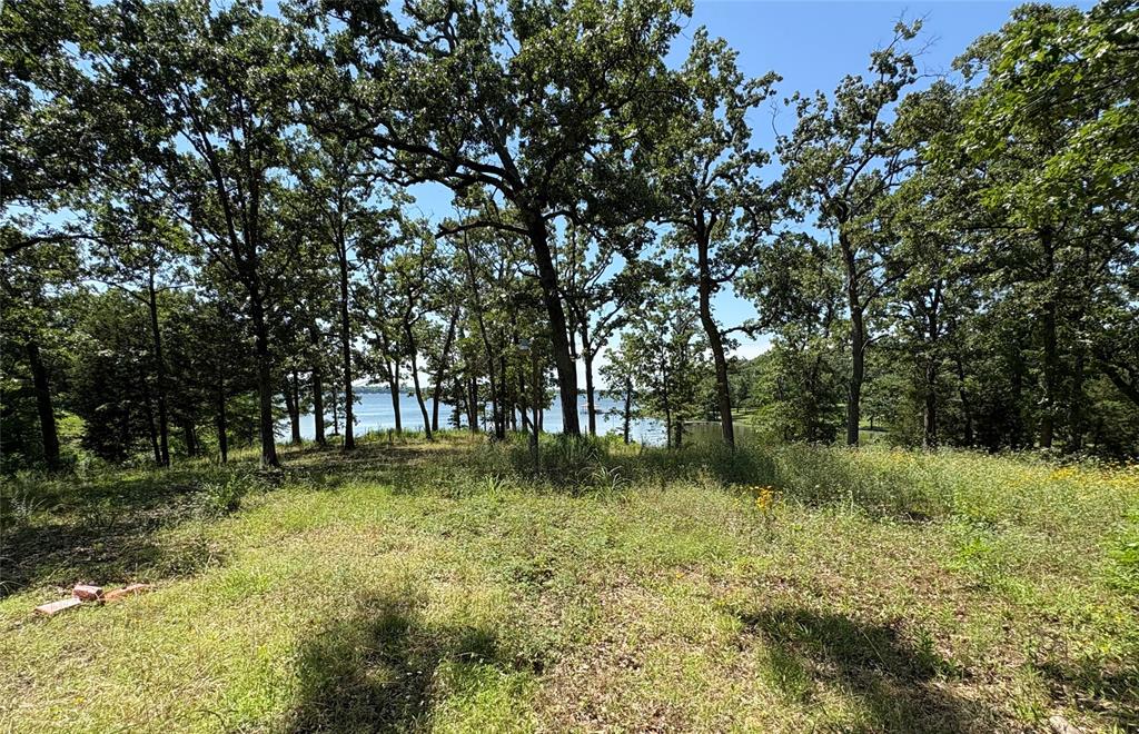 TBD Indian Gap Road - Photo 10