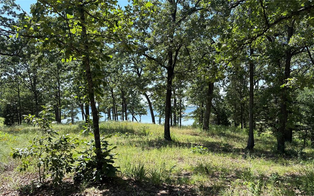 TBD Indian Gap Road - Photo 12