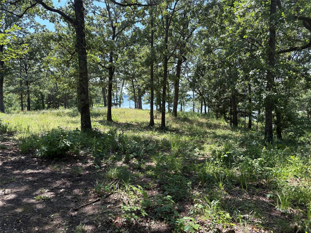 TBD Indian Gap Road - Photo 13