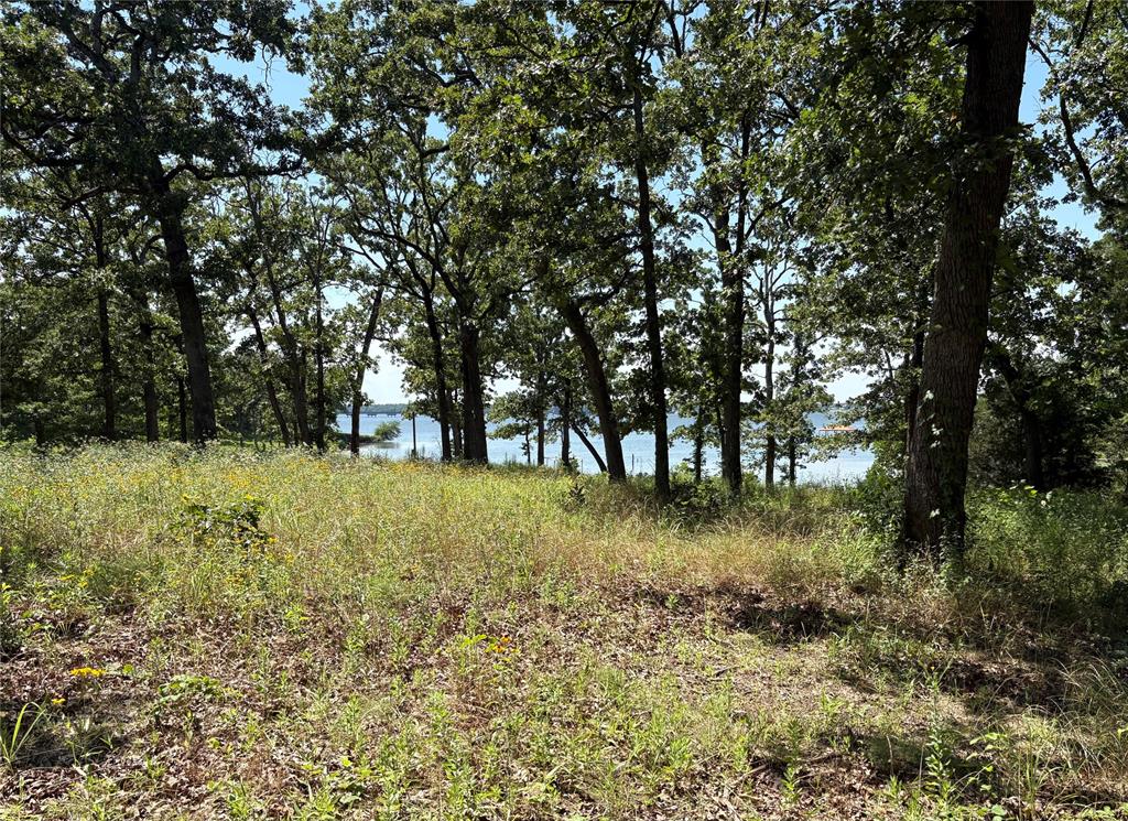 TBD Indian Gap Road - Photo 15