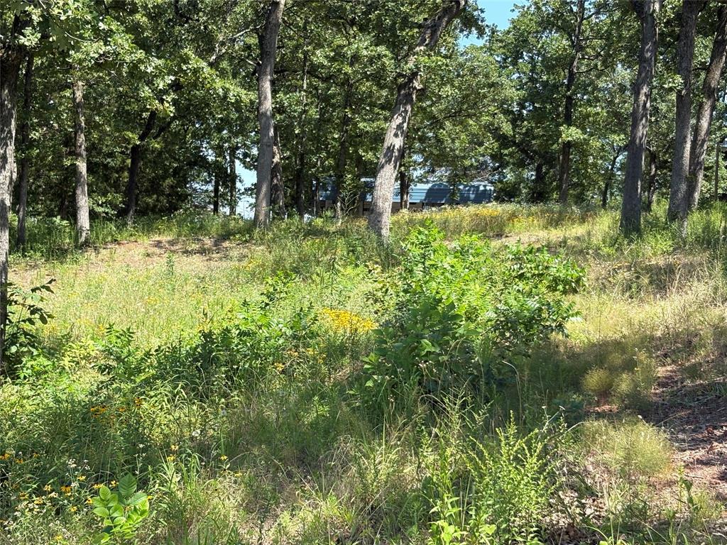 TBD Indian Gap Road - Photo 7