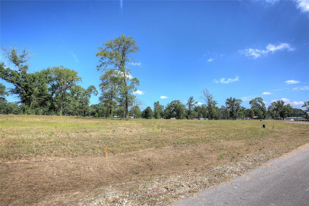 20620 Wycliff - Photo 4