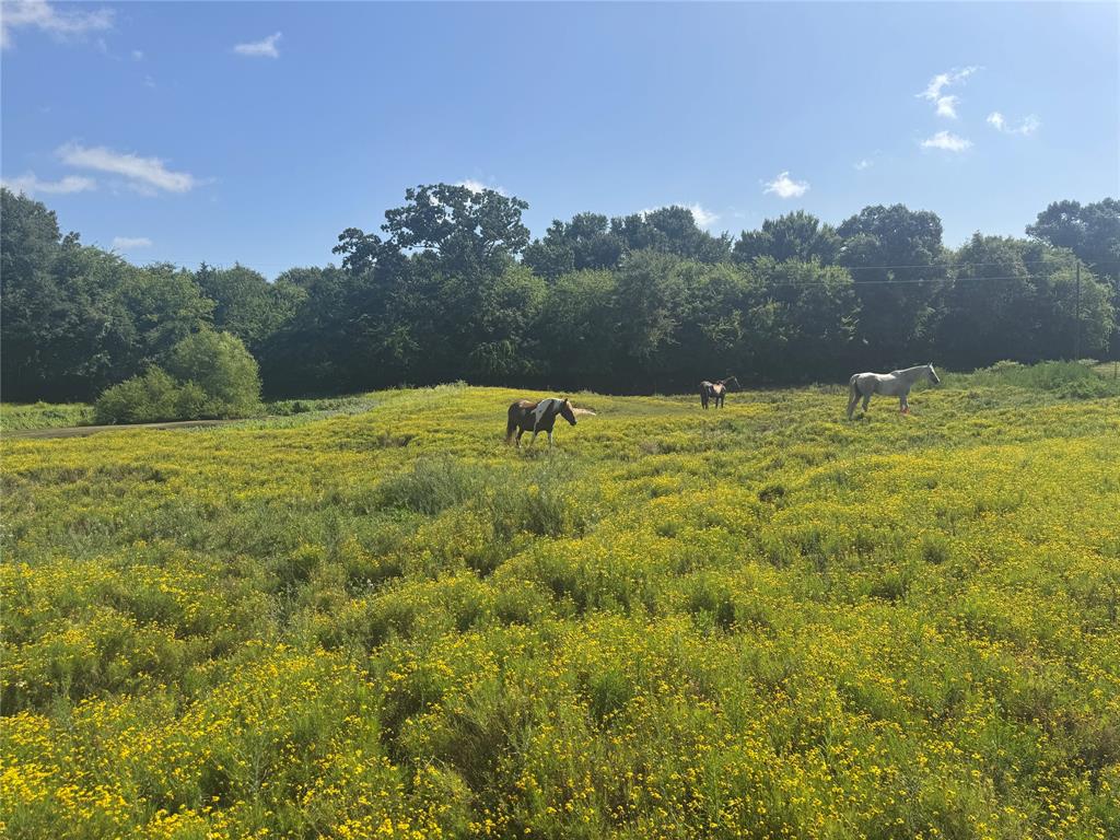 302 VZ County Road 4910 - Photo 19