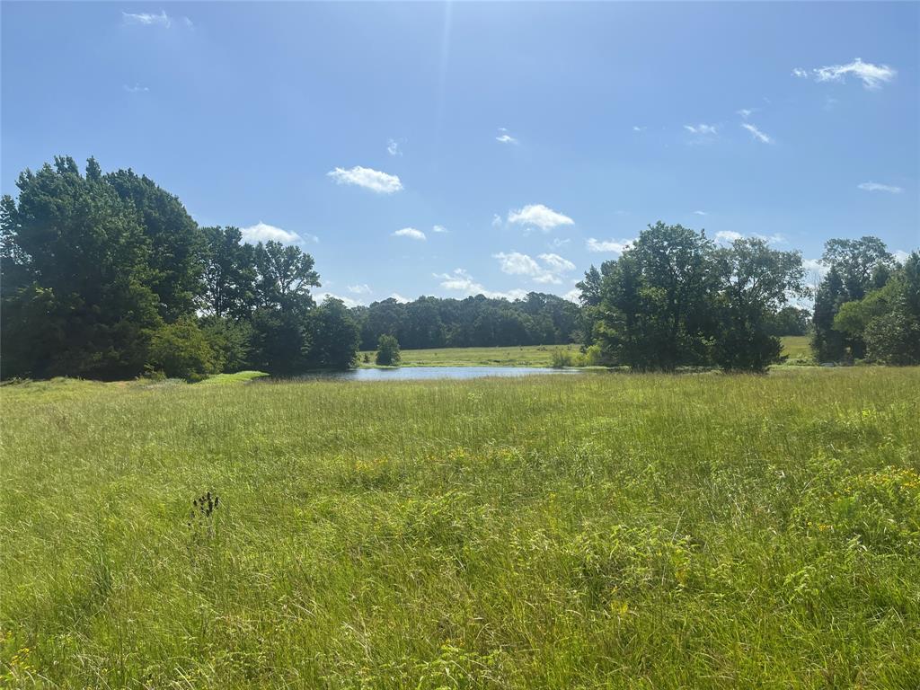 302 VZ County Road 4910 - Photo 31