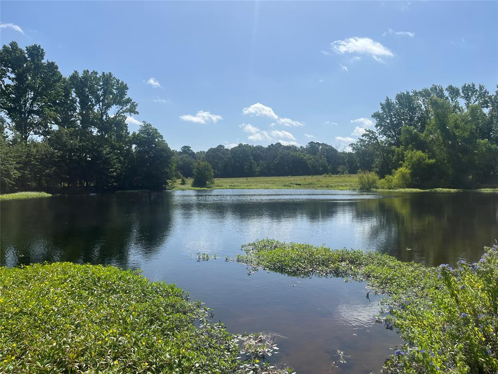 302 VZ County Road 4910 - Photo 37