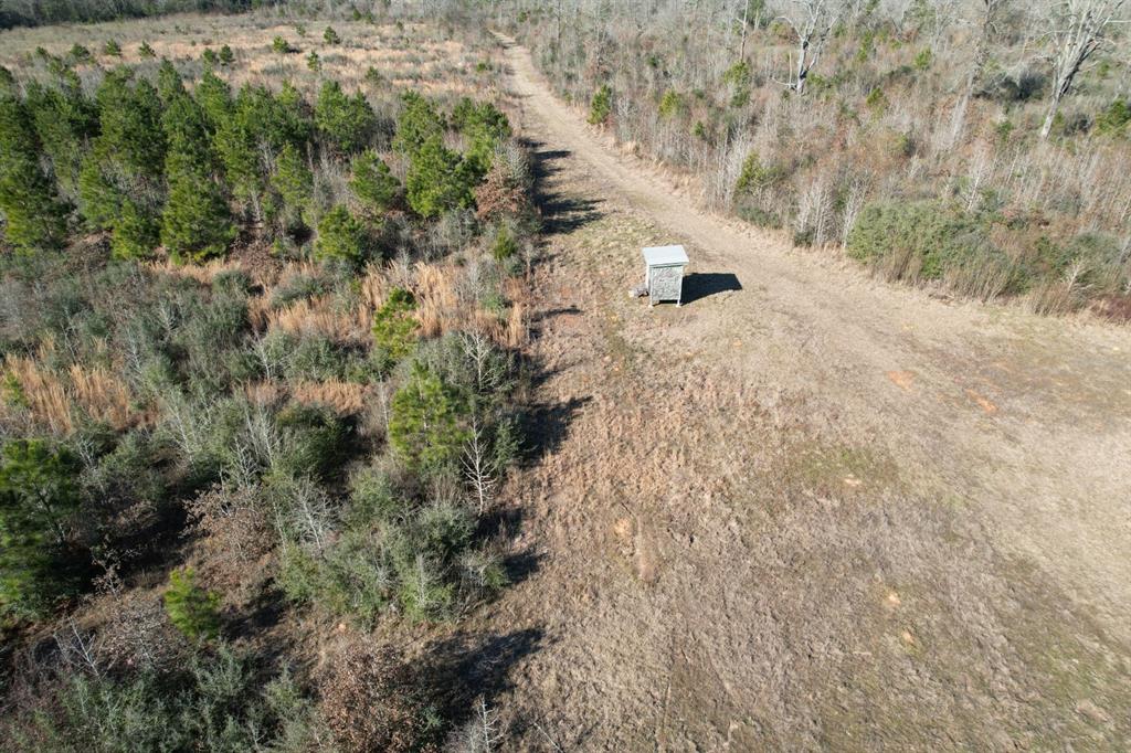 TBD-B County Road 4021 - Photo 1