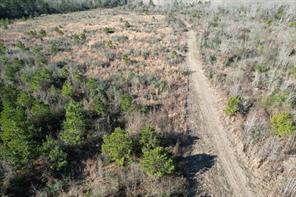 TBD-B County Road 4021 - Photo 13