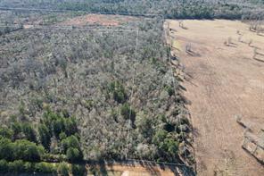 TBD-B County Road 4021 - Photo 6