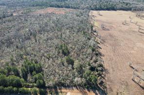 TBD-B County Road 4021 - Photo 7