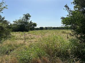 Lot 5 Cedar Road - Photo 7