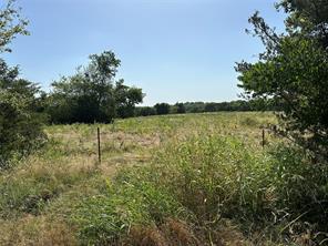 Lot 5 Cedar Road - Photo 8