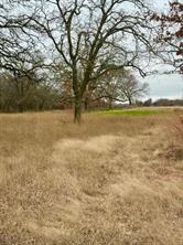 702 County Road 3597 - Photo 10
