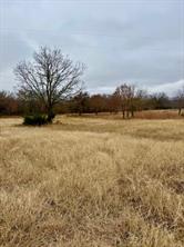 702 County Road 3597 - Photo 11