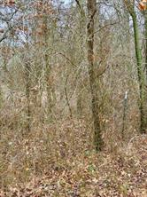 702 County Road 3597 - Photo 18
