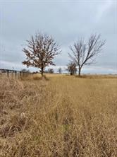 702 County Road 3597 - Photo 19