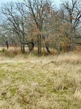 702 County Road 3597 - Photo 2