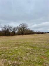702 County Road 3597 - Photo 3
