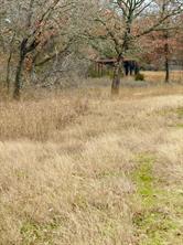 702 County Road 3597 - Photo 4