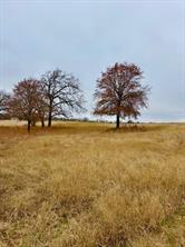 702 County Road 3597 - Photo 9