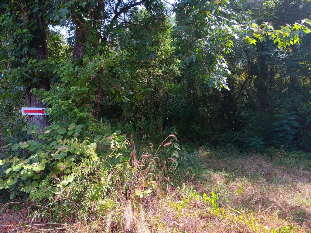 TBD Private Road - Photo 1