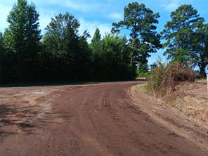 TBD Private Road - Photo 2