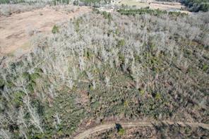 TBD-C County Road 4021 - Photo 2
