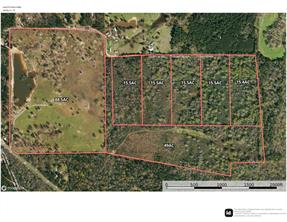 TBD-C County Road 4021 - Photo 6