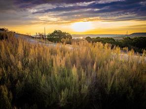 Lot 265 Canyon Wren Loop - Photo 4