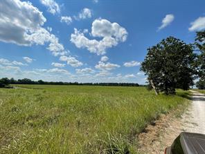 332 County Road 1290 - Photo 4
