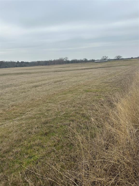 4365 S Fm 730 - Photo 1