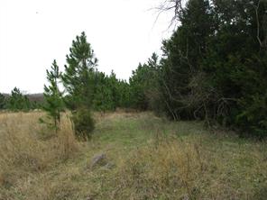 TBD Rains County Road 3040 - Photo 4