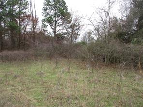 TBD Rains County Road 3040 - Photo 5