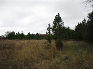 TBD Rains County Road 3040 - Photo 6