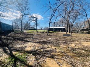 153 Quail Haven Street - Photo 9