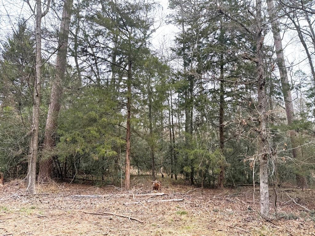 Lots 316 & 317 Brazos Bend - Photo 1