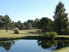 Lots 316 & 317 Brazos Bend - Photo 16