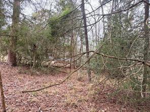 Lots 316 & 317 Brazos Bend - Photo 3