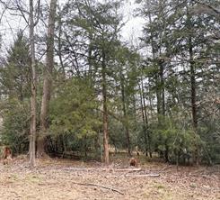 Lots 316 & 317 Brazos Bend - Photo 4