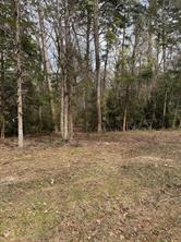 Lots 316 & 317 Brazos Bend - Photo 5