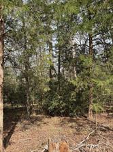 Lots 316 & 317 Brazos Bend - Photo 7