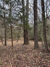 Lots 316 & 317 Brazos Bend - Photo 8